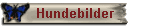Hundebilder