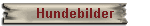 Hundebilder