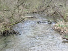 IMG_0075.JPG