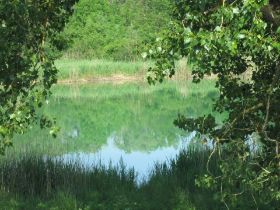 IMG_0272.JPG
