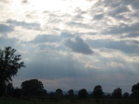 IMG_0314.JPG
