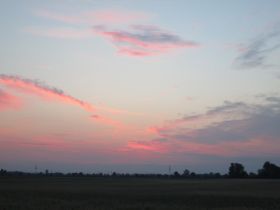 IMG_0500.jpg