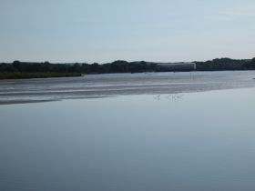 IMG_0575.jpg