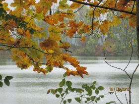 Herbst.jpg