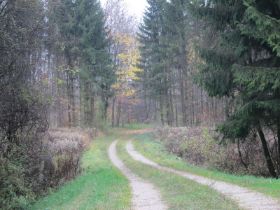 IMG_1017.jpg