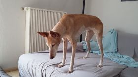20180221_115659.jpg