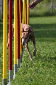 IMG_0022.jpg