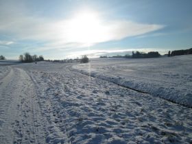 31.01.-1.jpg