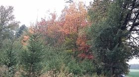 2015-10-11 103 (800x450).jpg