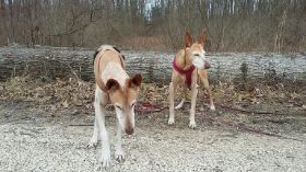 20170315_164817_resized.jpg