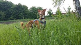 20170520_075505_resized.jpg