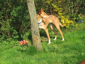 IMG_3049 (400x300).jpg