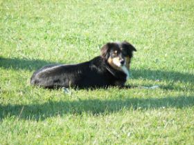 Podies and Friends_06.JPG