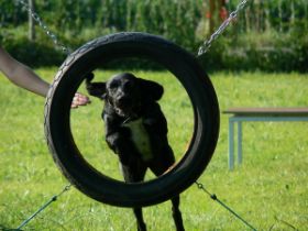 Podies and Friends_16.JPG