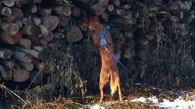 20180124_095258.jpg