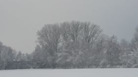 20180218_090133.jpg